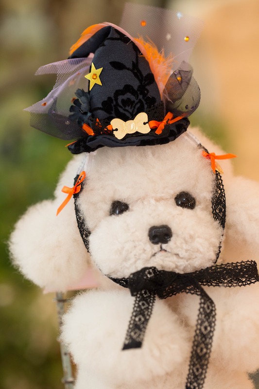 bulbubu ペット服　マトラッセパーカー ブルブブ BUL BU-BU WONDERLAND P/K XXS/XS 小型犬 犬服 ウエア