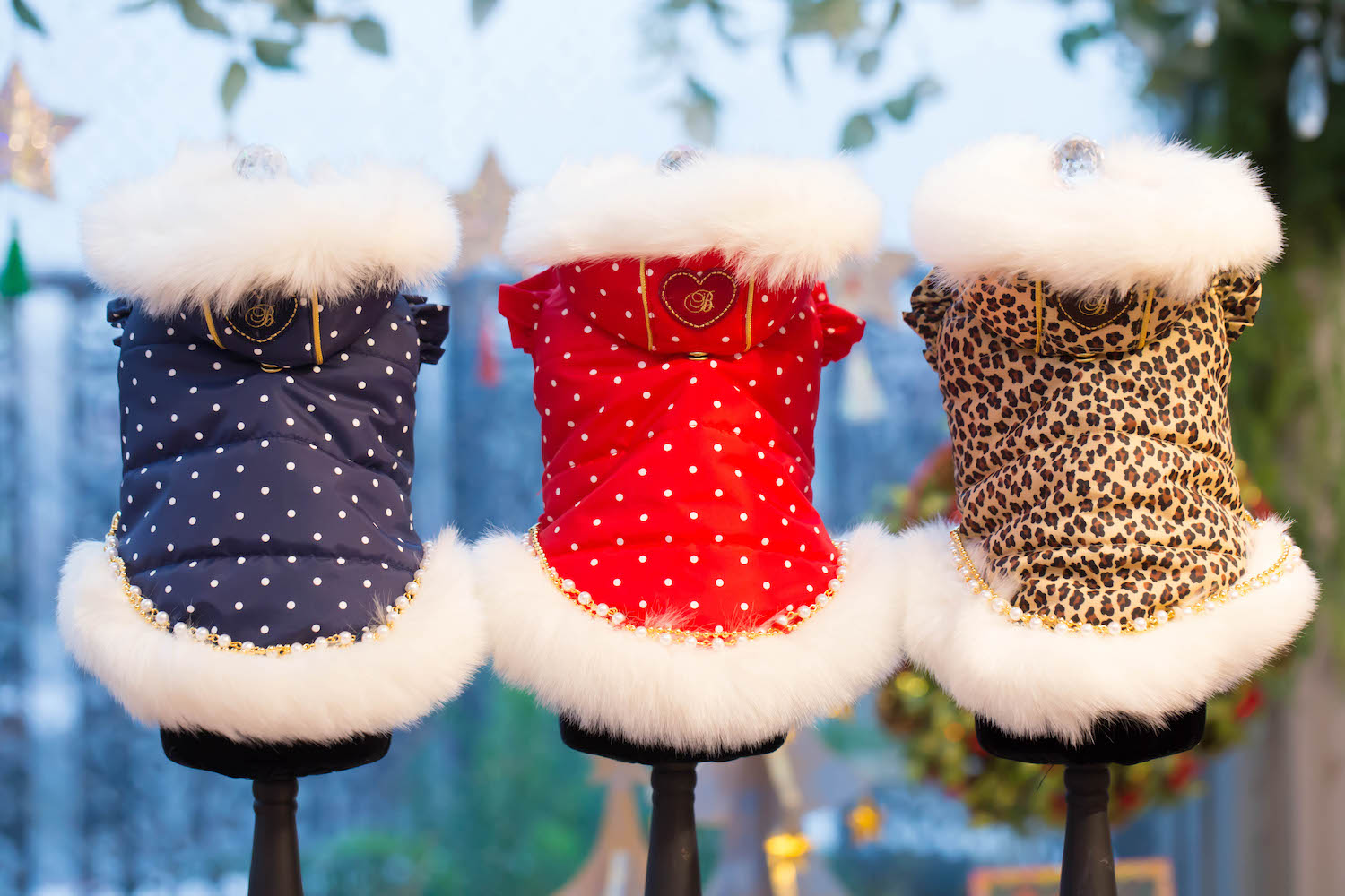 2025 Winter SALE｜ドッグブティック・ブルブブ