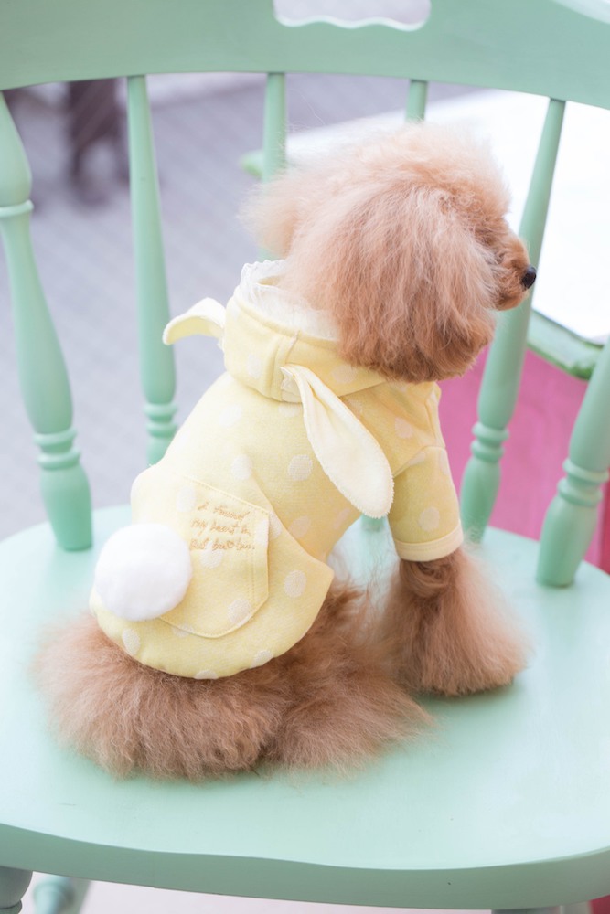 21GC-007 うさみP/K｜ドッグブティック・ブルブブ