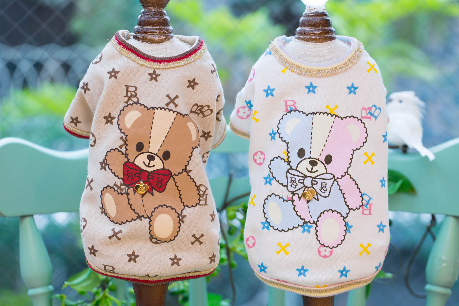 SALE《70%OFF》｜ドッグブティック・ブルブブ