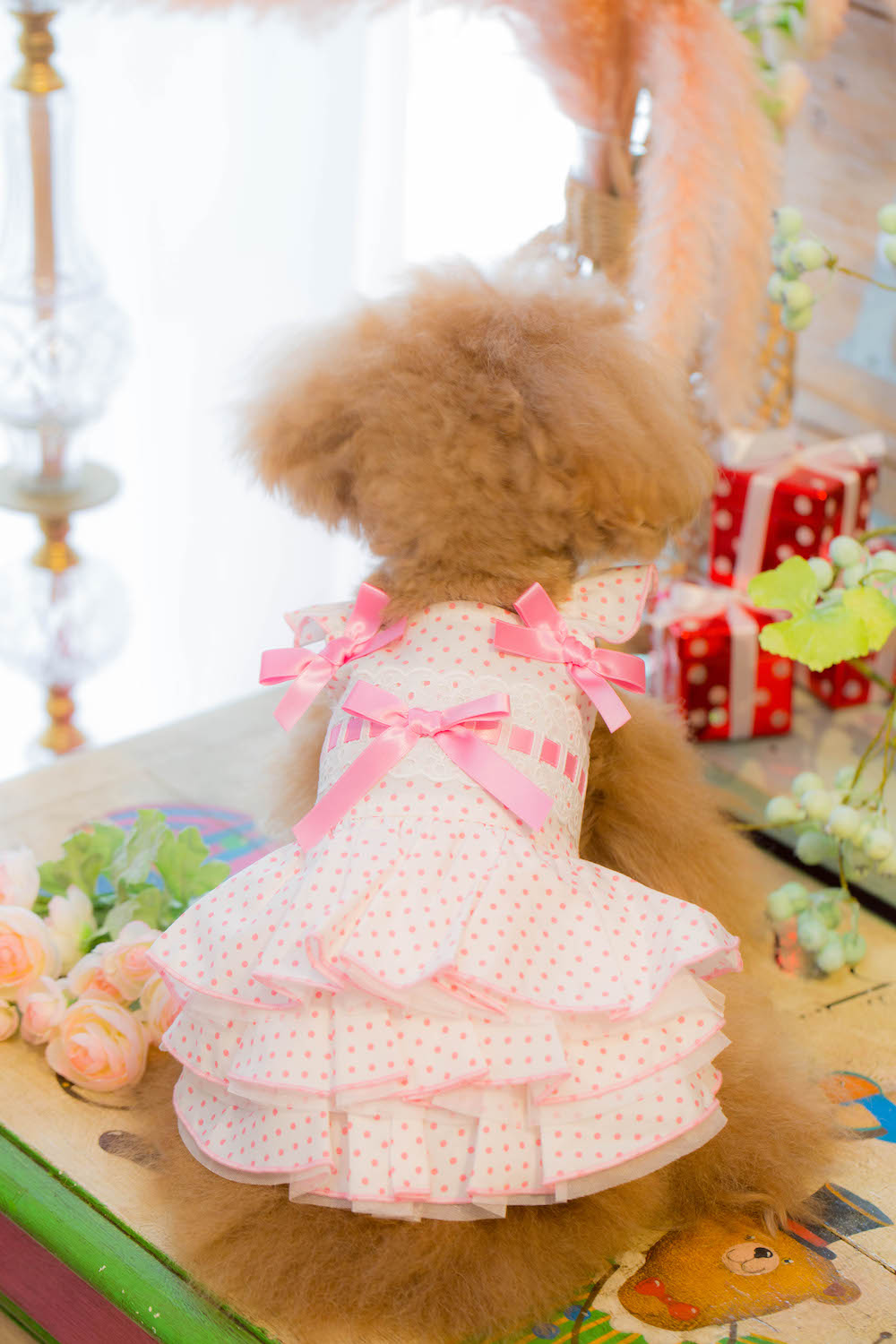 23GC-018 Dots O/P｜ドッグブティック・ブルブブ