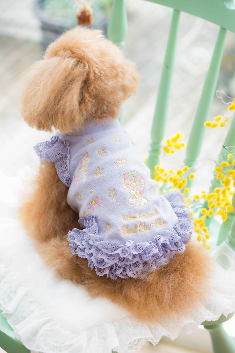 bul bu bu SSサイズ 犬（わんちゃん）の洋服。ドッグブティック ブルブブ《サイズ