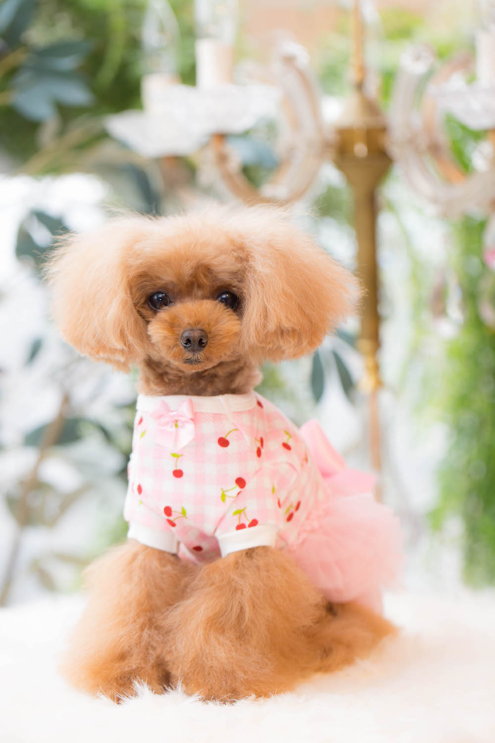 Bul-BuBu/ブルブブ XXS ギンガムチェックワンピース ピンク 中古9180円