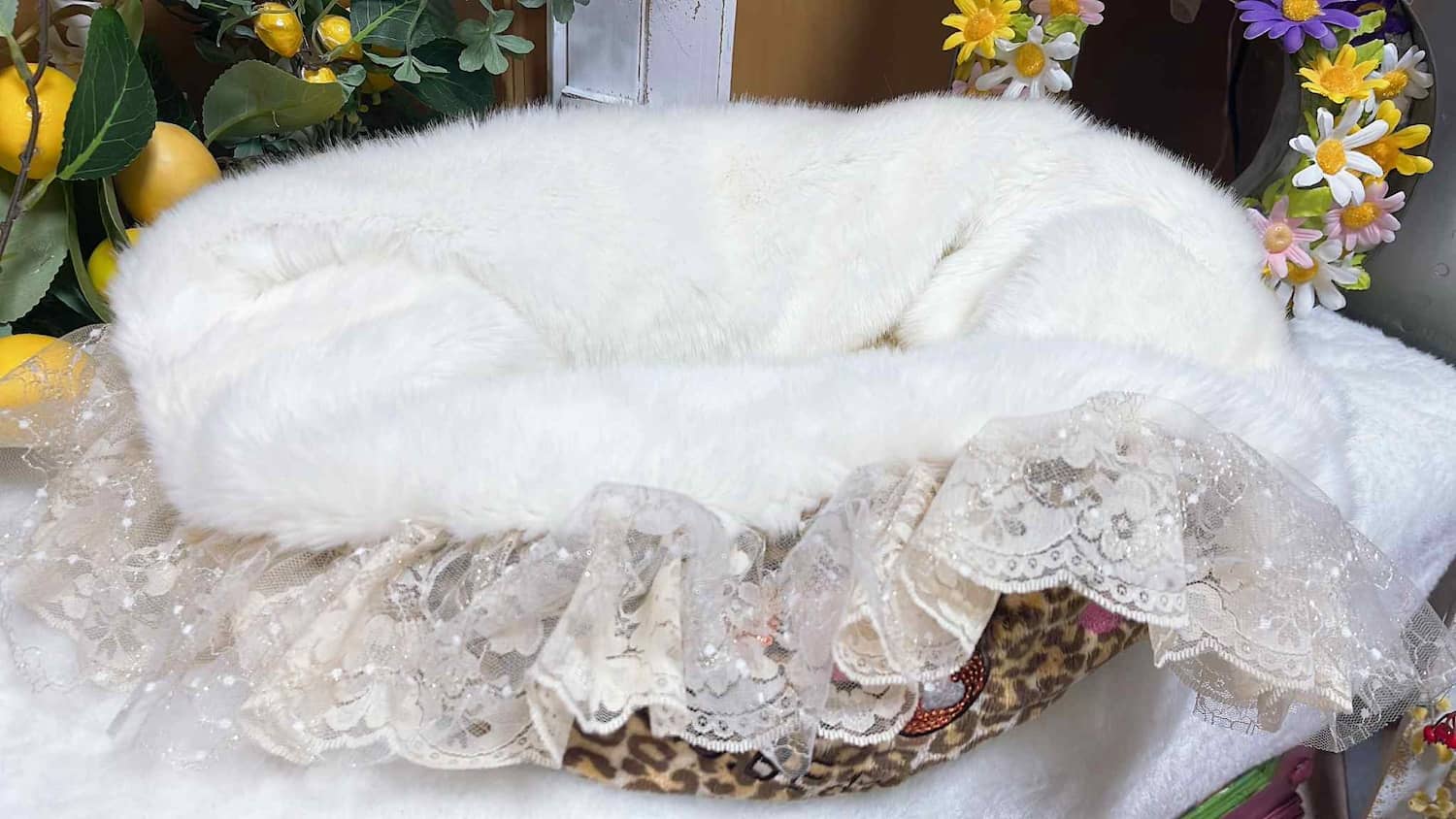 25BED-001 Leopard Bed｜ドッグブティック・ブルブブ