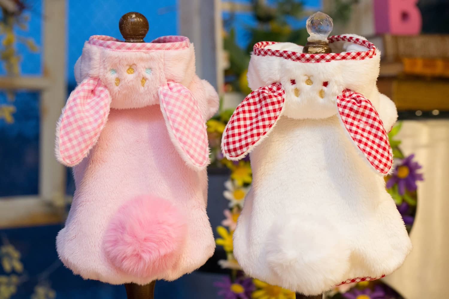 BUL BU-BUおまとめ Dog Boutique BUL BU-BU (@bulbubu) • Instagram photos and videos