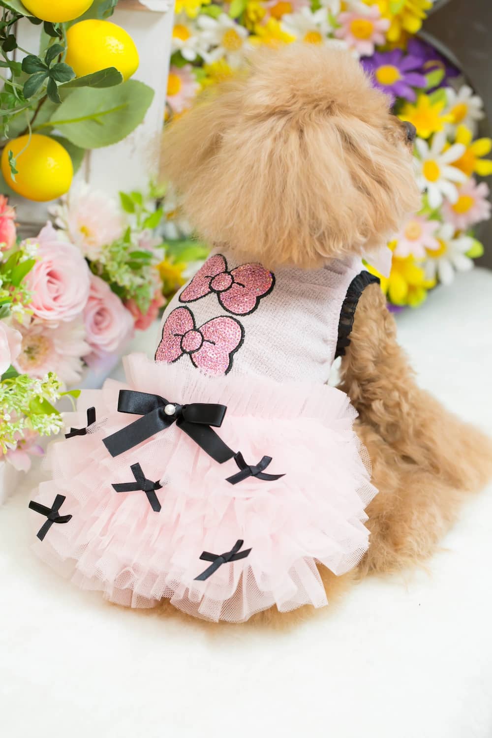 26GC-011 DOLL O/P｜ドッグブティック・ブルブブ