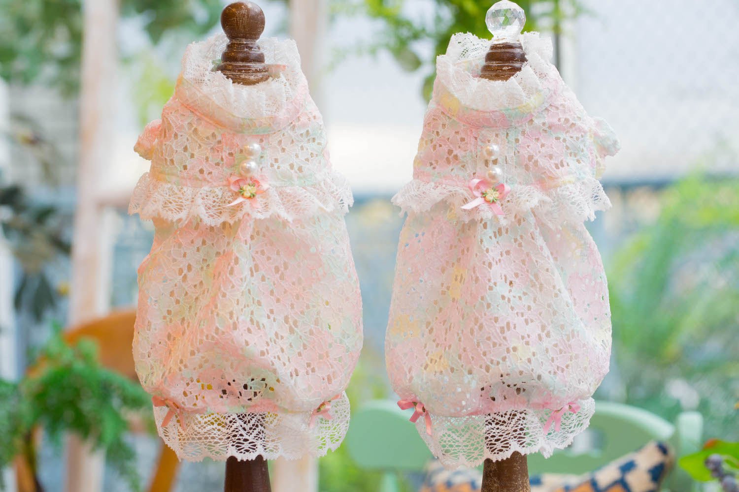 SALE《70%OFF》｜ドッグブティック・ブルブブ